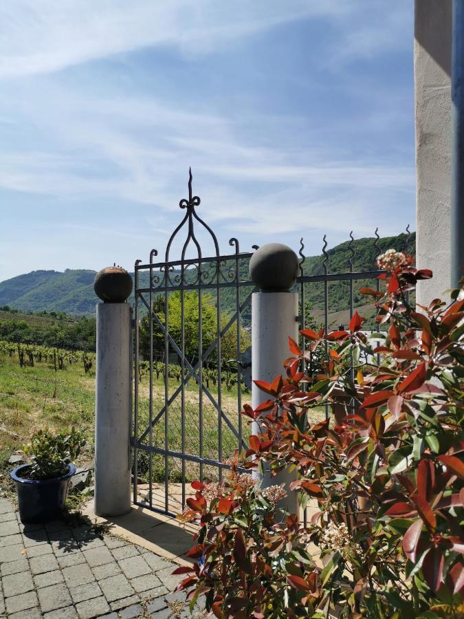 Weingut Amlinger&Sohn Apartment Neef Bagian luar foto